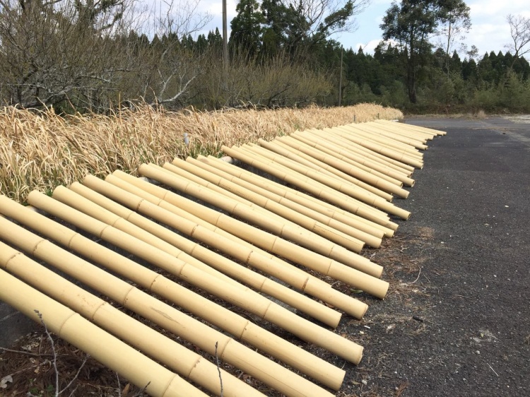 晒竹 乾燥中 | 鍋田竹材│鹿児島県 伝統工芸品指定│竹材加工品の製作
